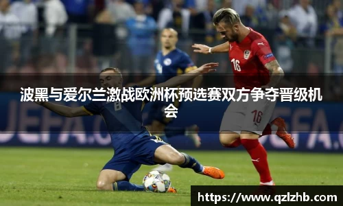 波黑与爱尔兰激战欧洲杯预选赛双方争夺晋级机会